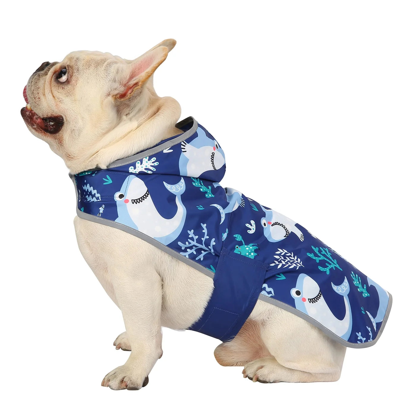 Reversible Dog Raincoat Hooded Slicker Poncho Rain Coat Jacket for Small Medium Large Dogs Sharks M