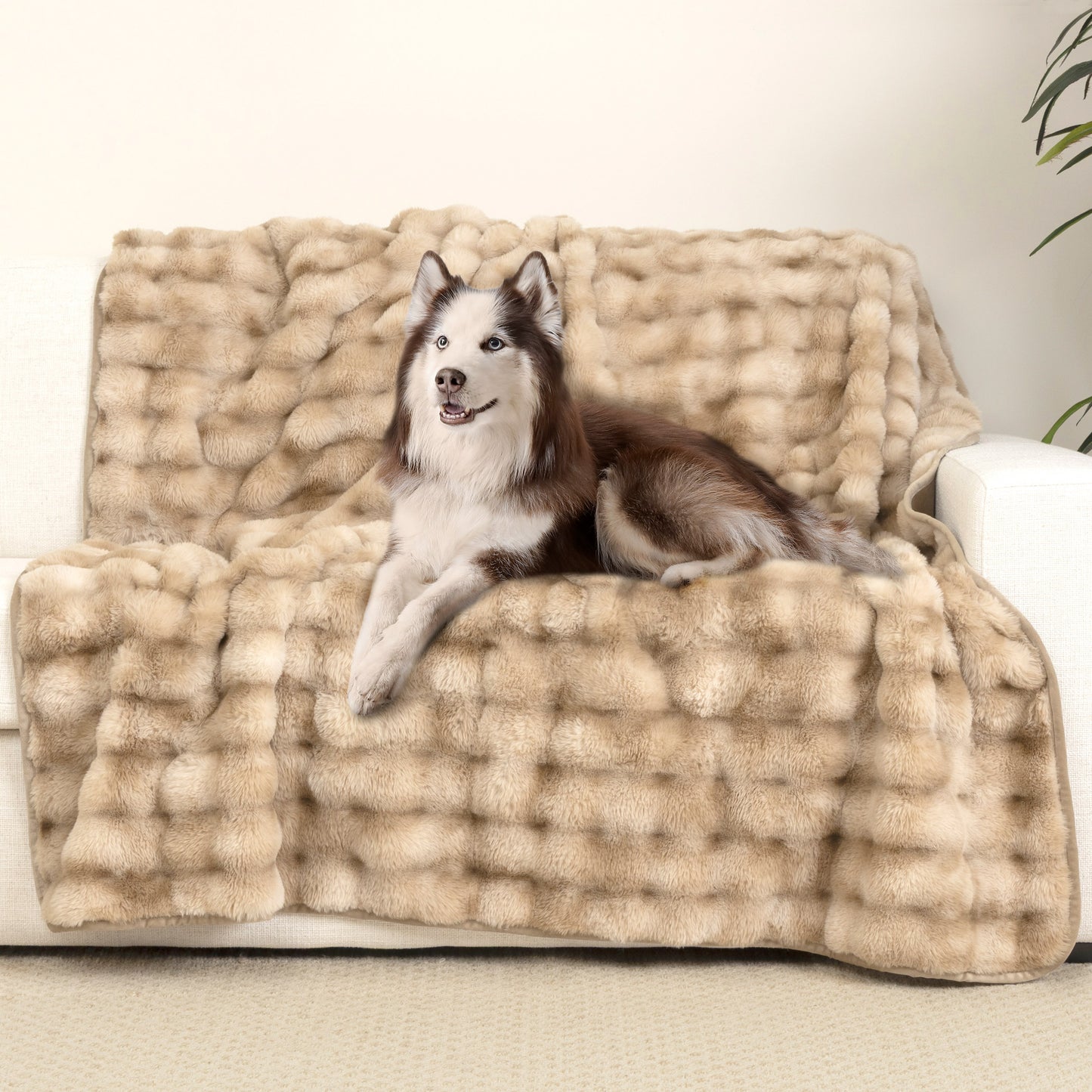 Ultimate Oversized Waterproof Pet Blanket and Furniture Protector - Bubble Fur for Cozy Comfort