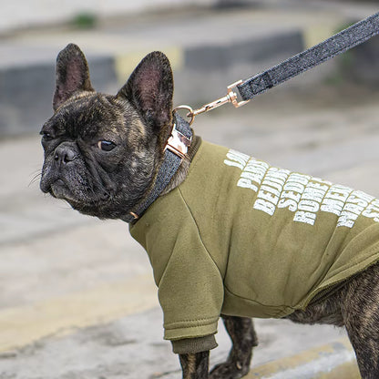 Hot Selling Wholesale Twill-Nylon Webbing Dog Collars Adjustable Luxury Metal Buckle Tweed Pet Collar and Leash Set