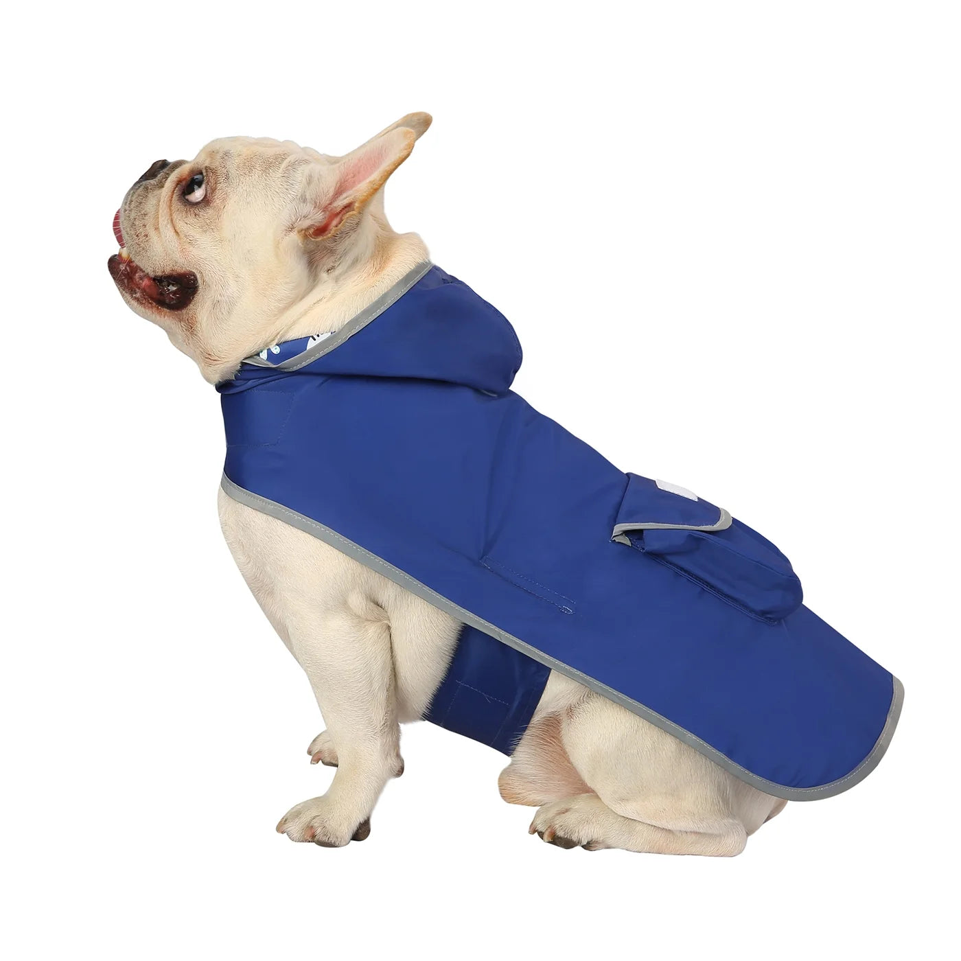 Reversible Dog Raincoat Hooded Slicker Poncho Rain Coat Jacket for Small Medium Large Dogs Sharks M