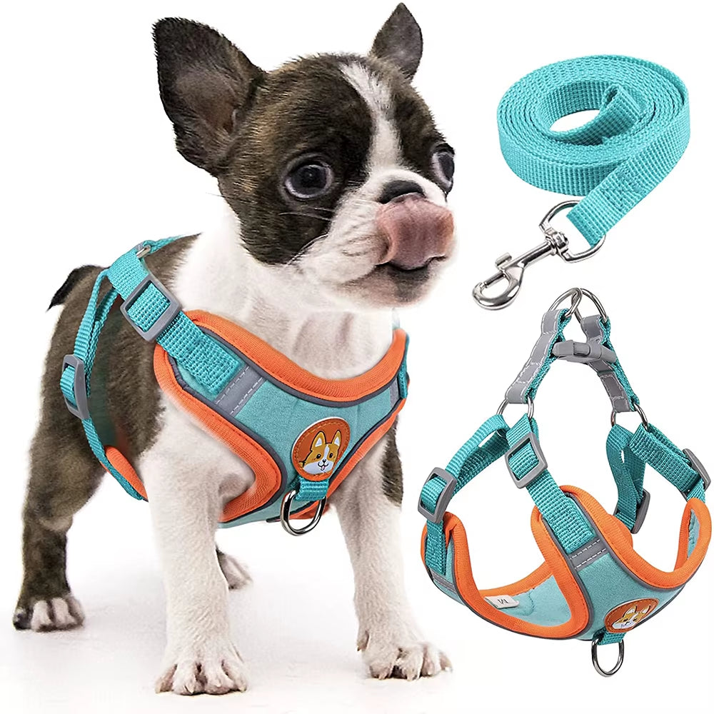 Turin Harness Set