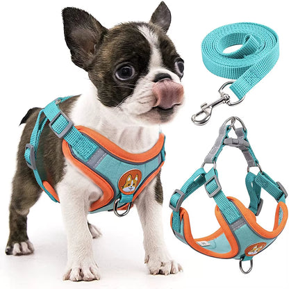 Turin Harness Set